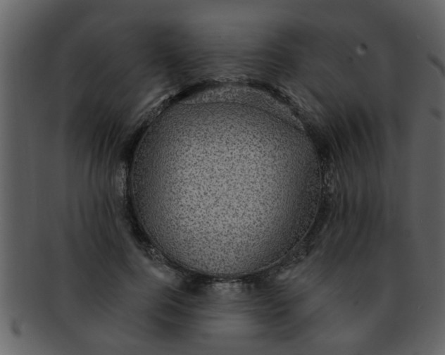 X0000093130744200710171307