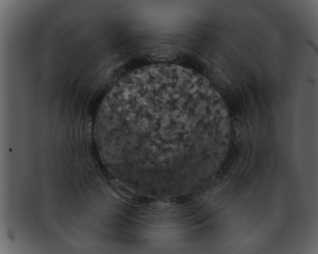 X0000093130745200710171307