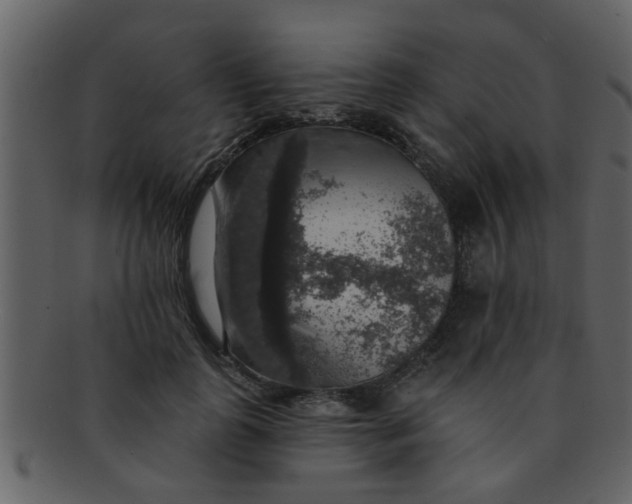 X0000093130747200710171307