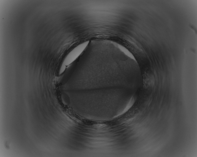 X0000093130748200710171307