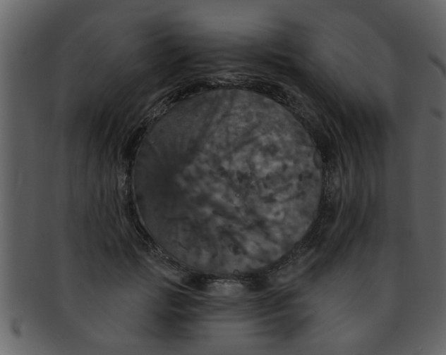 X0000093130749200710171307