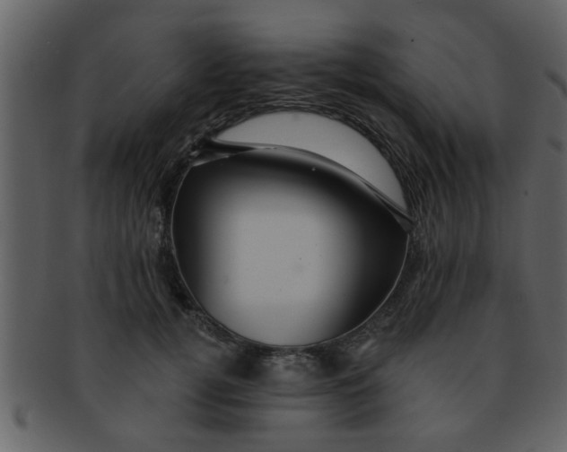 X0000093130752200710171307