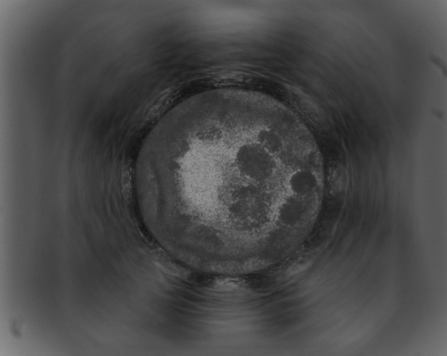 X0000093130753200710171307