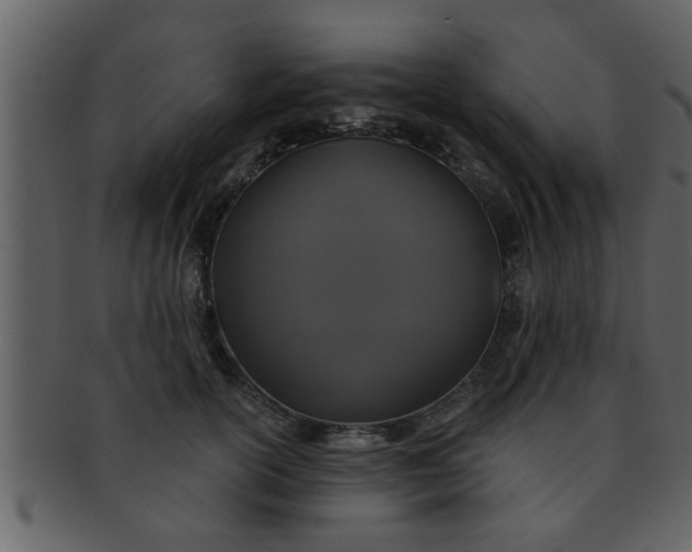 X0000093130754200710171307