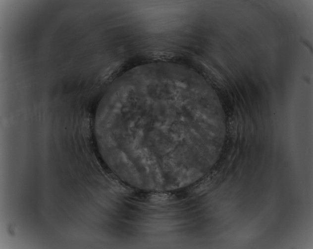 X0000093130757200710171307