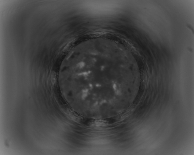 X0000093130758200710171307