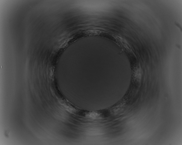 X0000093130759200710171307