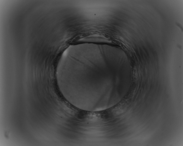 X0000093130760200710171307