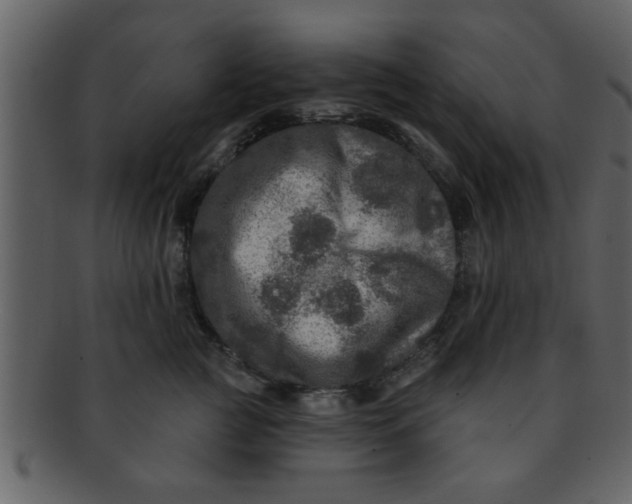 X0000093130761200710171307