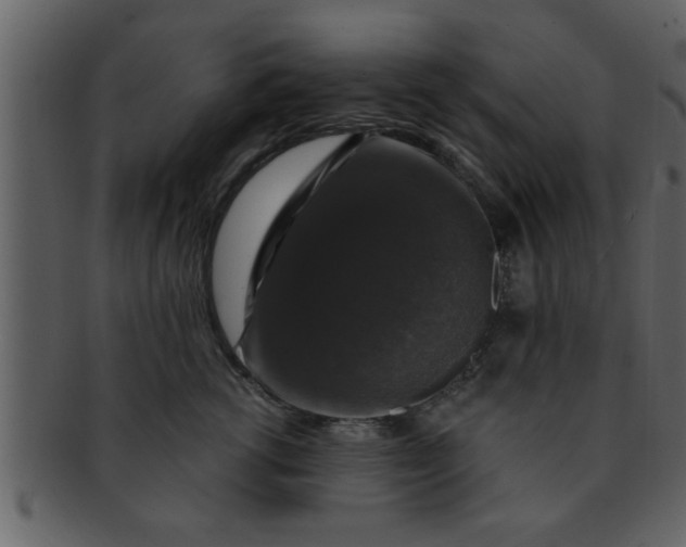 X0000093130762200710171307