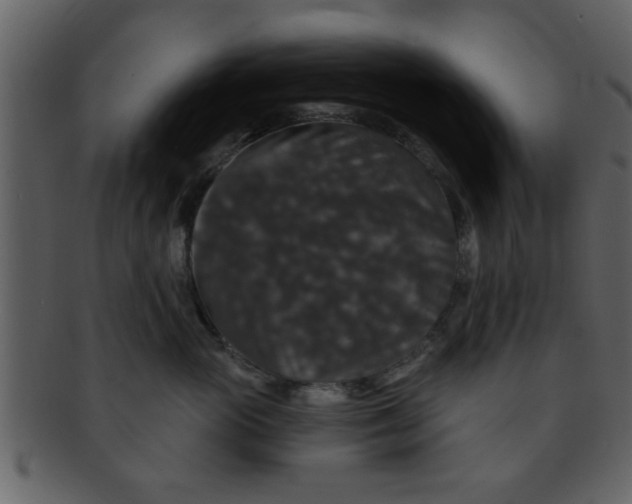 X0000093130765200710171307