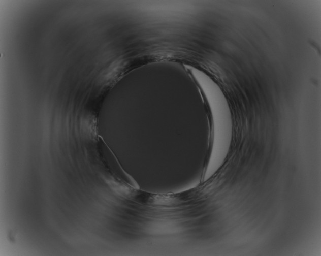 X0000093130766200710171307