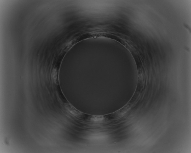 X0000093130767200710171307