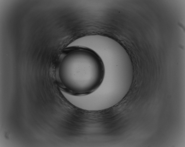 X0000093130768200710171307