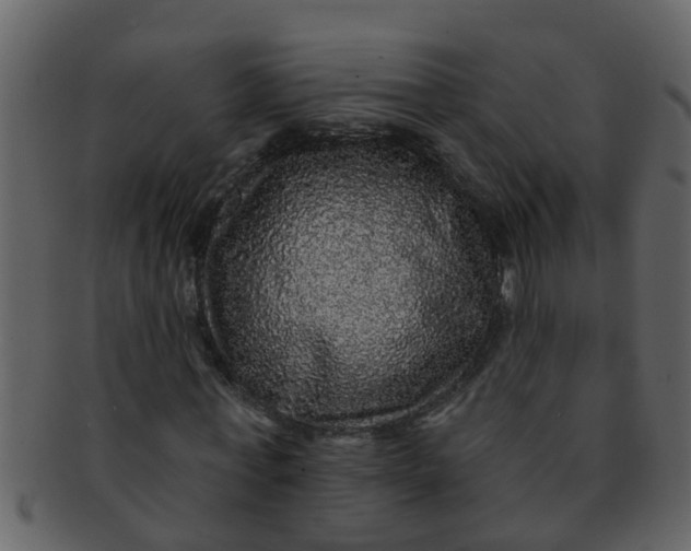 X0000093130771200710171306