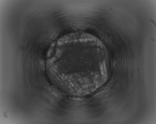 X0000093130772200710171306