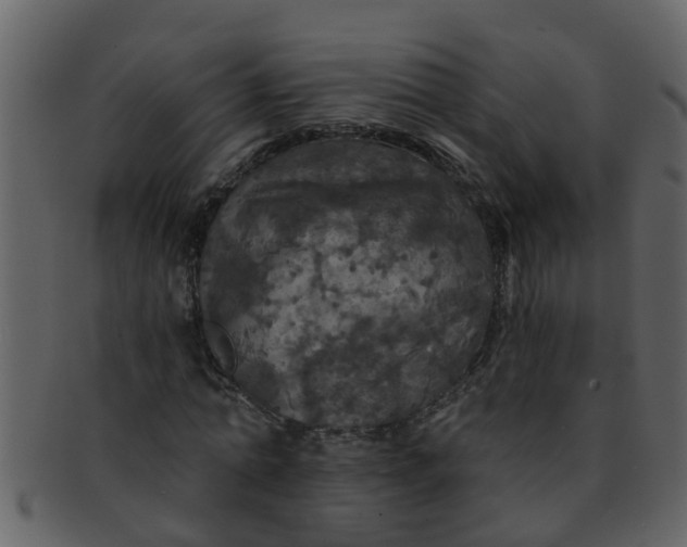 X0000093130774200710171306