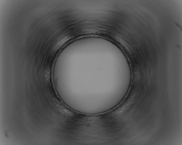 X0000093130778200710171306