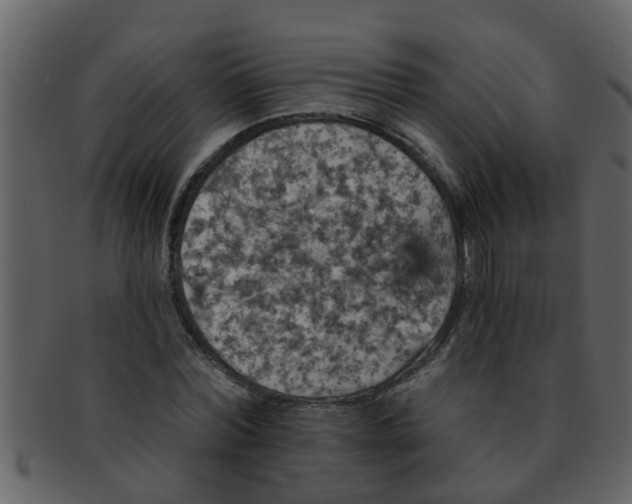 X0000093130780200710171306