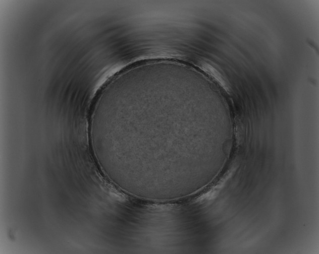 X0000093130781200710171306