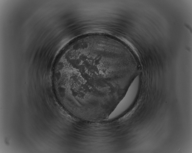 X0000093130783200710171306