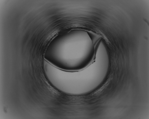 X0000093130785200710171306