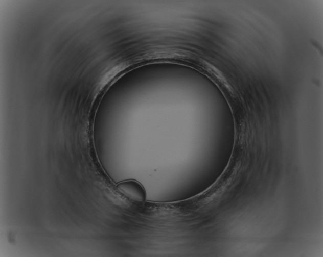 X0000093130786200710171306