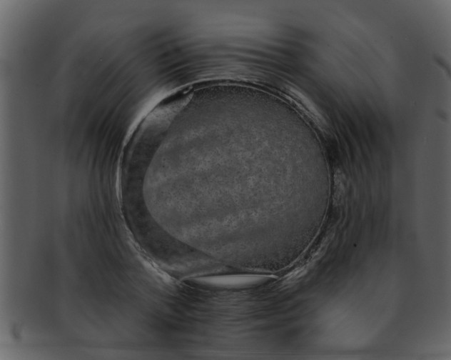 X0000093130788200710171306