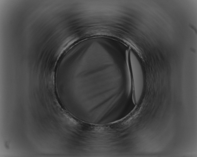 X0000093130790200710171306