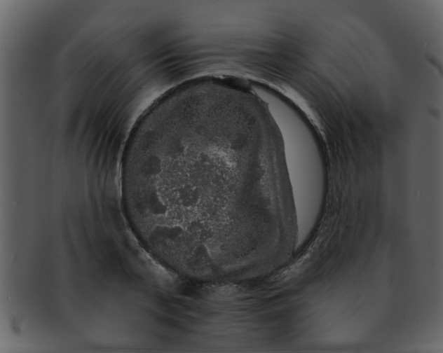 X0000093130791200710171306