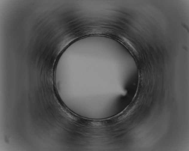 X0000093130794200710171306