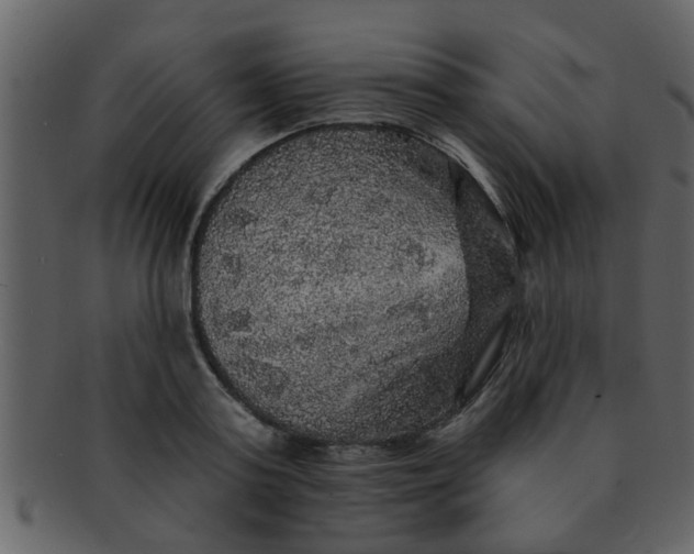 X0000093130795200710171306