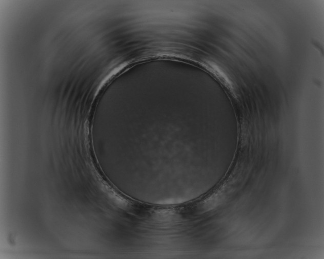 X0000093130798200710171306