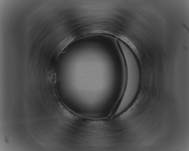 X0000093130801200710171306