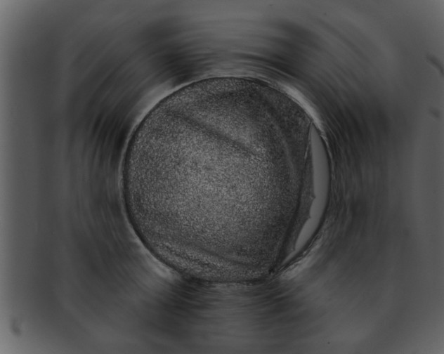 X0000093130803200710171306