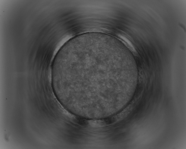 X0000093130804200710171306