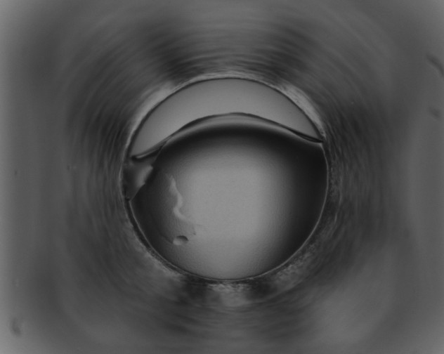 X0000093130805200710171306