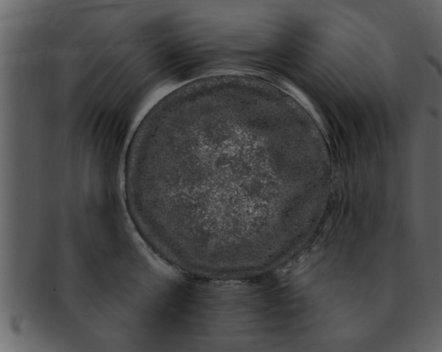 X0000093130811200710171306