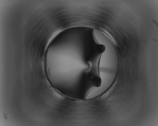 X0000093130812200710171306