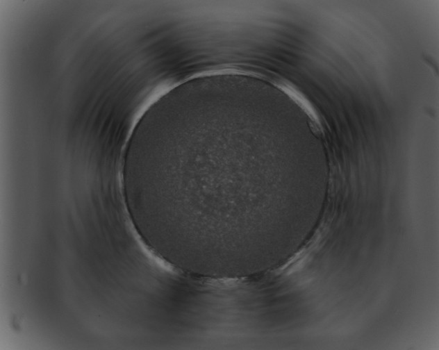 X0000093130813200710171306