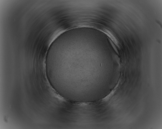 X0000093130814200710171306