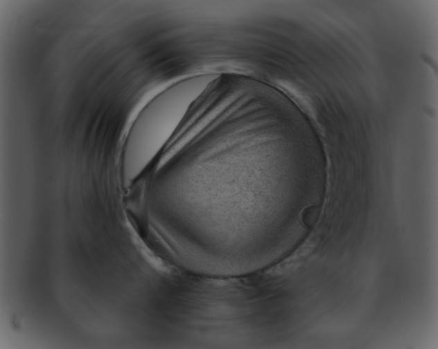 X0000093130816200710171306