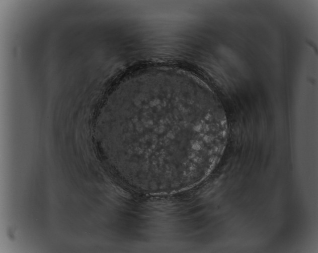 X0000093130817200710171305