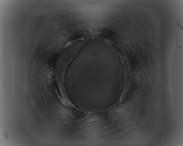 X0000093130818200710171305