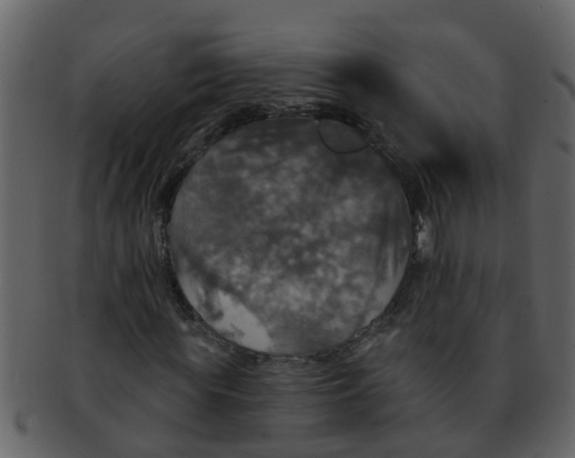 X0000093130819200710171305