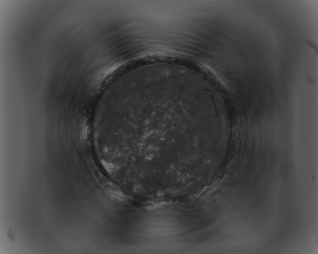 X0000093130822200710171305