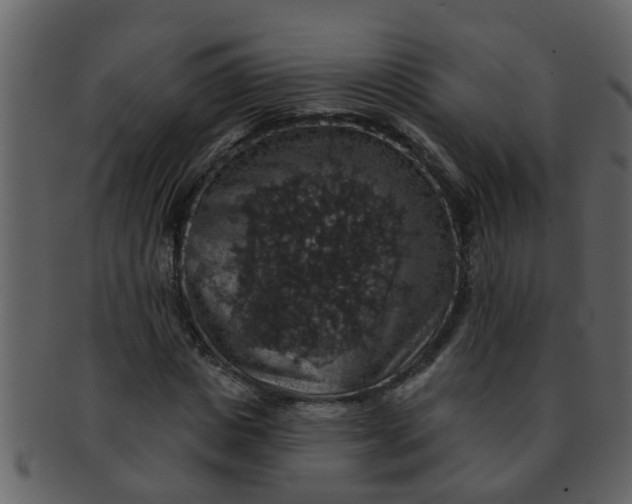 X0000093130825200710171305