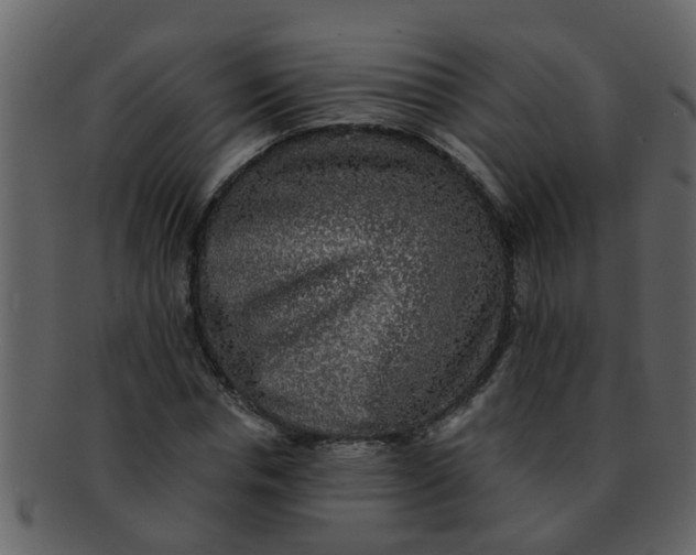 X0000093130826200710171305