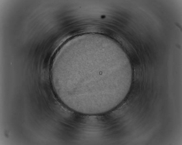 X0000093130828200710171305