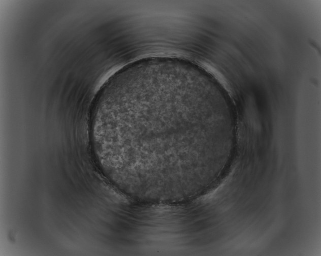 X0000093130829200710171305